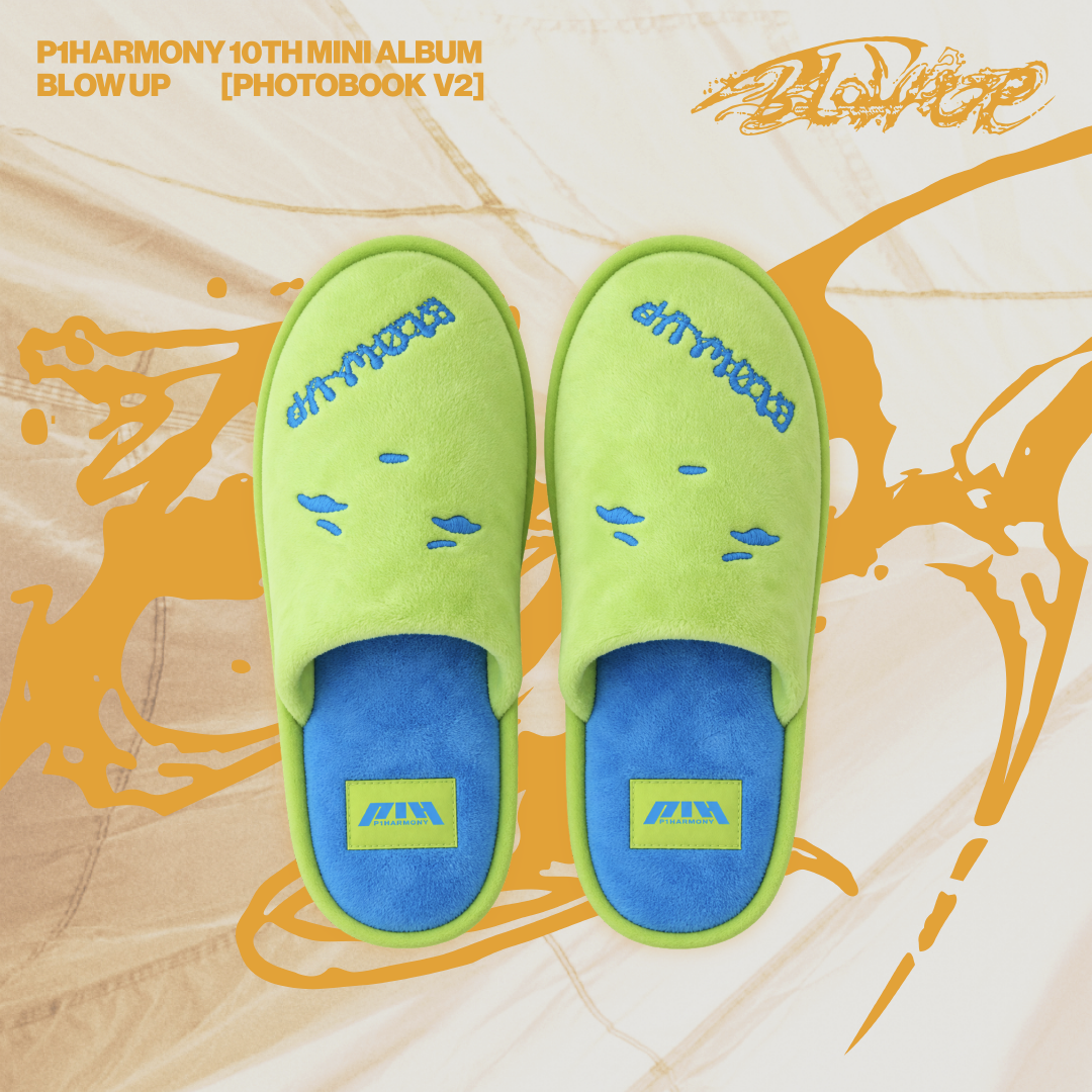 BLOW UP - House Slippers